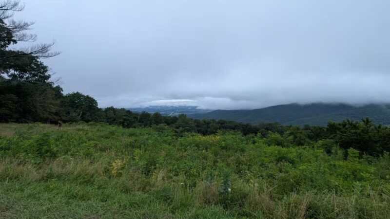 Pass Mountain Loop Trail - Luray, VA