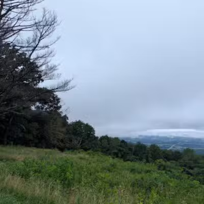 Pass Mountain Loop Trail - Luray, VA
