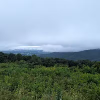 Pass Mountain Loop Trail - Luray, VA