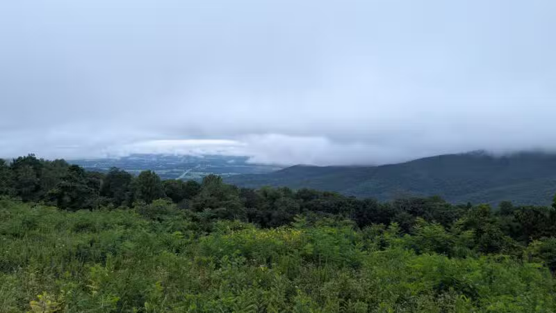 Pass Mountain Loop Trail - Luray, VA