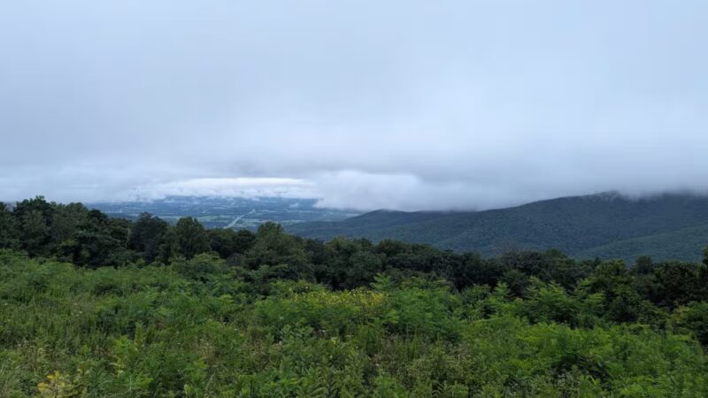 Pass Mountain Loop Trail - Luray, VA