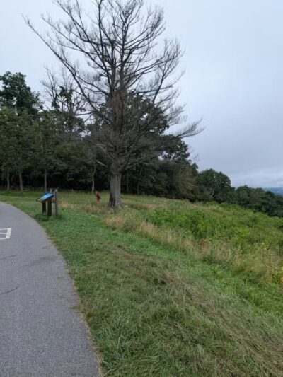Pass Mountain Loop Trail - Luray, VA