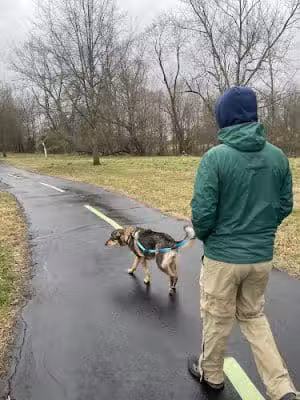 Luray-Hawksbill Greenway Hiking Trail - Luray, VA
