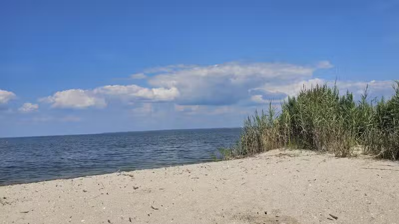 Flag Ponds Nature Park - Lusby, MD