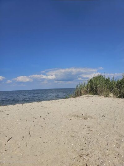 Flag Ponds Nature Park - Lusby, MD
