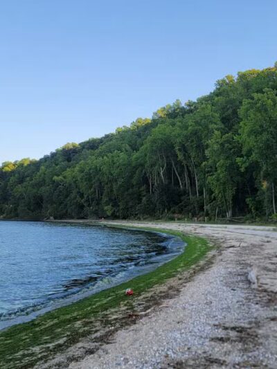 Flag Ponds Nature Park - Lusby, MD