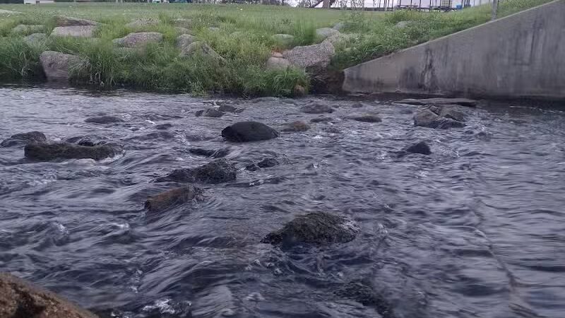 Mill Pond Park - Luther,