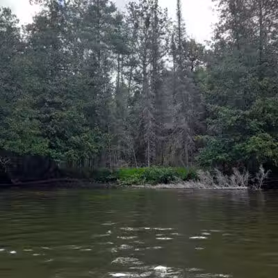 Luzerne Express Campground - Luzerne,