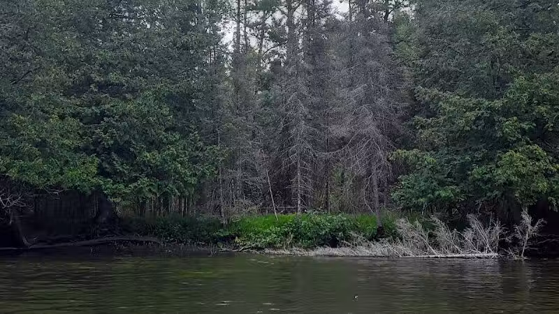 Luzerne Express Campground - Luzerne,