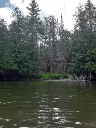 Luzerne Express Campground - Luzerne,