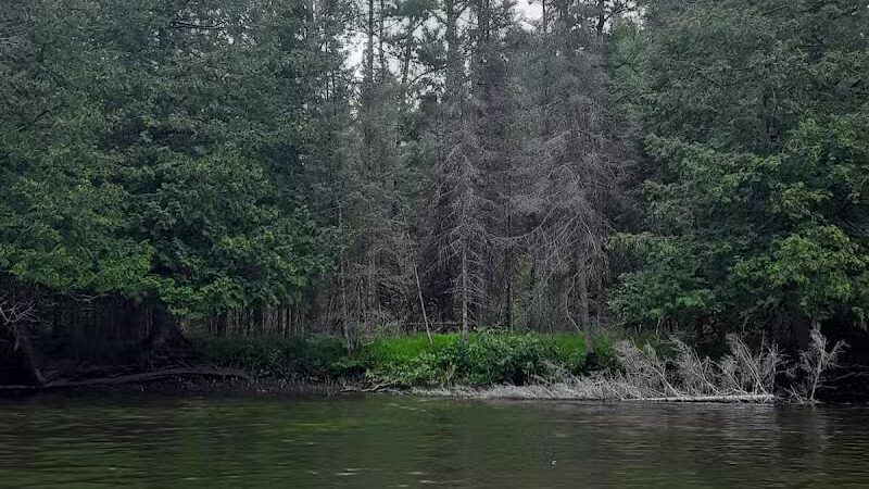 Luzerne Express Campground - Luzerne,