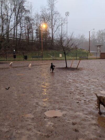 Lynchburg Dog Park - Lynchburg, VA