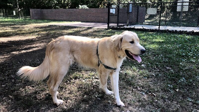 Lynchburg Dog Park - Lynchburg, VA