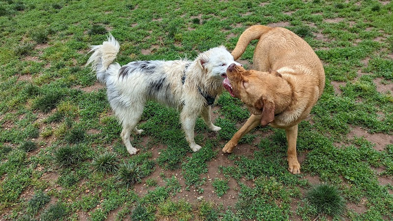 Lynchburg Dog Park - Lynchburg, VA