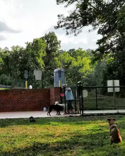 Lynchburg Dog Park - Lynchburg, VA