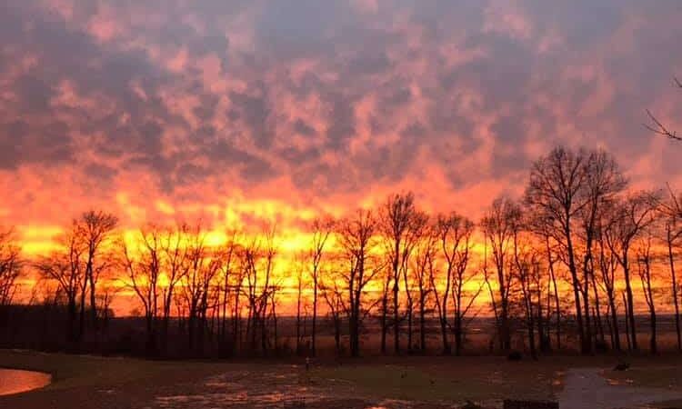 Pleasant Grove Inn - Lyons, IN