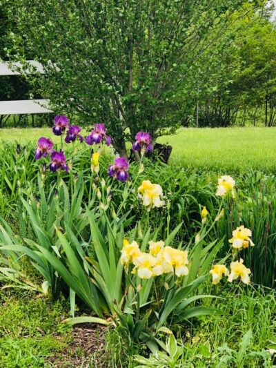 Pleasant Grove Inn - Lyons, IN