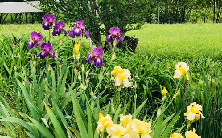 Pleasant Grove Inn - Lyons, IN