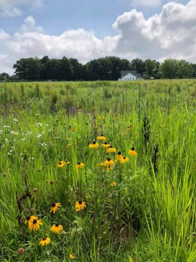 Pleasant Grove Inn - Lyons, IN