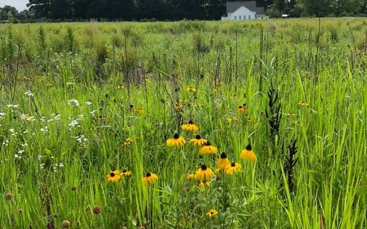 Pleasant Grove Inn - Lyons, IN