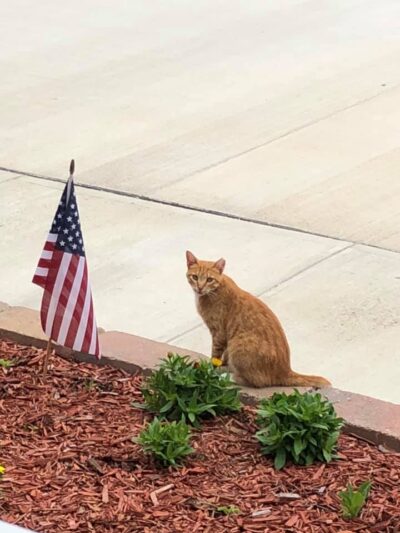 Pleasant Grove Inn - Lyons, IN