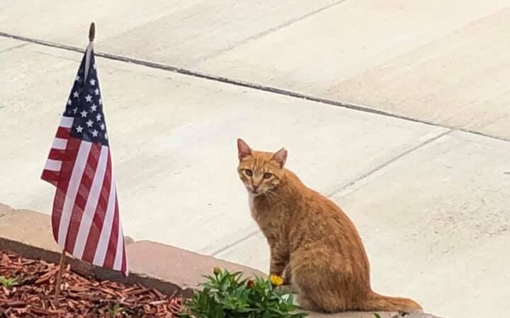 Pleasant Grove Inn - Lyons, IN