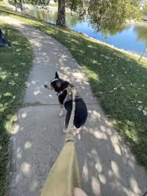 Augmon Park - Lyons, KS