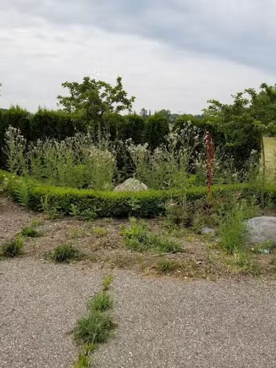 Macomb Corners Park - Macomb,