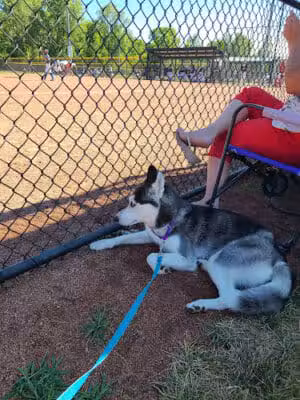 Macomb Corners Park - Macomb,