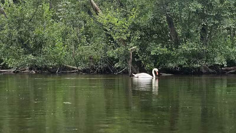 Pitchford Park - Macomb,