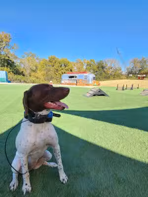 Barks N Brews - Macon, GA