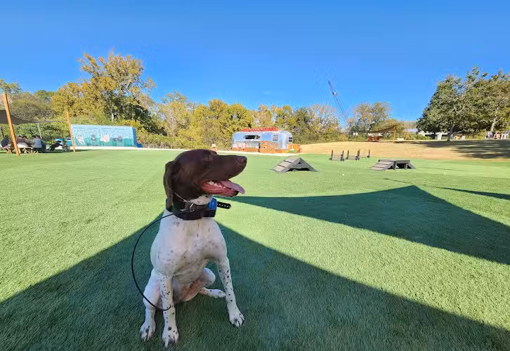 Barks N Brews - Macon, GA