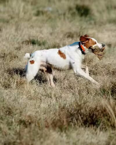 Closaway Outfitters - Macon, GA