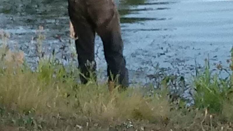 Macon County Park - Macon, MO