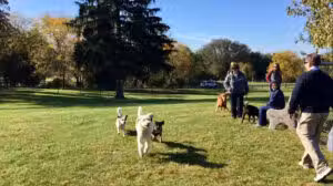 Lower Macungie Dog Park - Macungie, PA