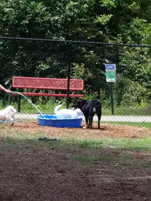 Mill Creek Dog Park - Madison, AL