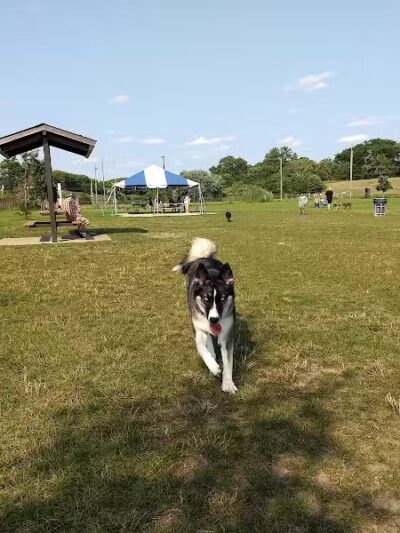Red Oaks Dog Park - Madison Heights, MI
