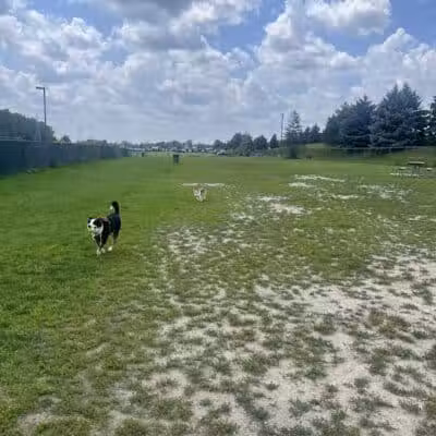 Red Oaks Dog Park - Madison Heights, MI