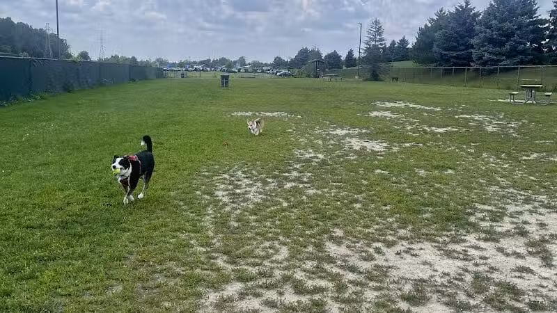 Red Oaks Dog Park - Madison Heights, MI