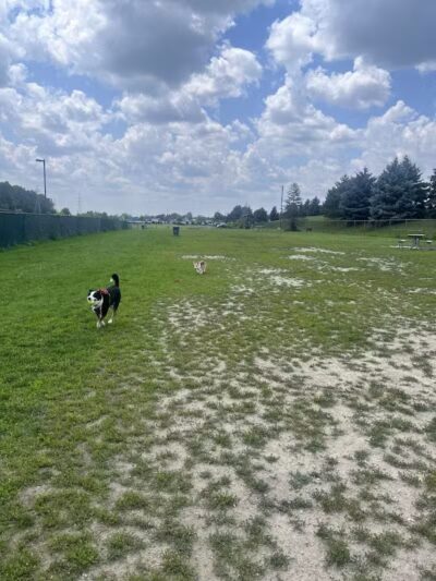 Red Oaks Dog Park - Madison Heights, MI