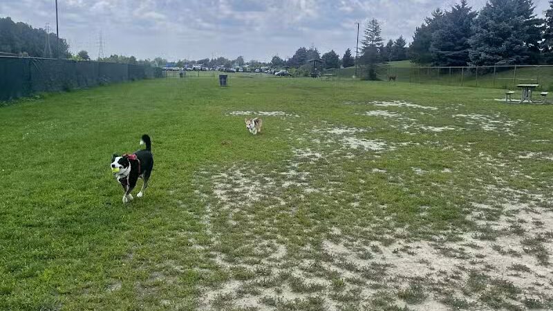 Red Oaks Dog Park - Madison Heights, MI