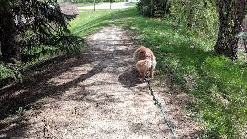 Red Oaks Dog Park - Madison Heights, MI