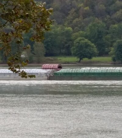 Madison Riverfront Dog Park - Madison, IN