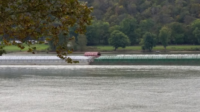 Madison Riverfront Dog Park - Madison, IN