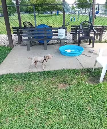 Madison Riverfront Dog Park - Madison, IN