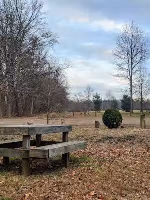 Thompson Grove Park - Manalapan Township, NJ