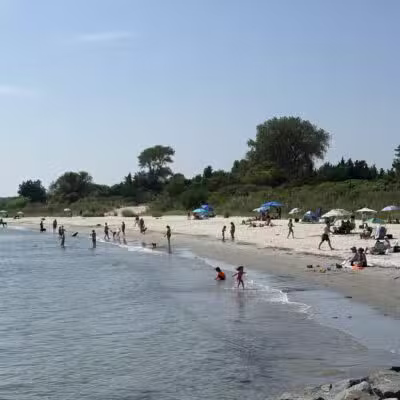 Fisherman's Cove Conservation Area - Manasquan, NJ