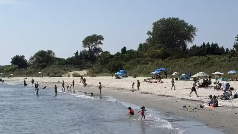 Fisherman's Cove Conservation Area - Manasquan, NJ