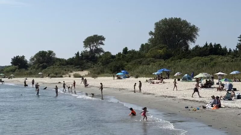 Fisherman's Cove Conservation Area - Manasquan, NJ