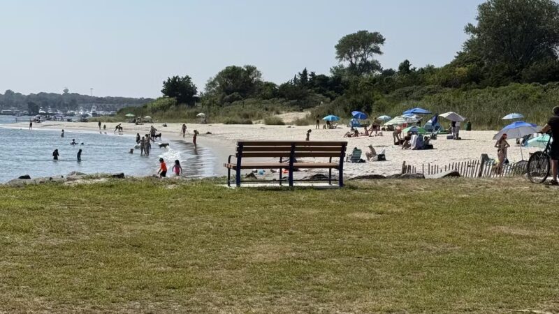 Fisherman's Cove Conservation Area - Manasquan, NJ